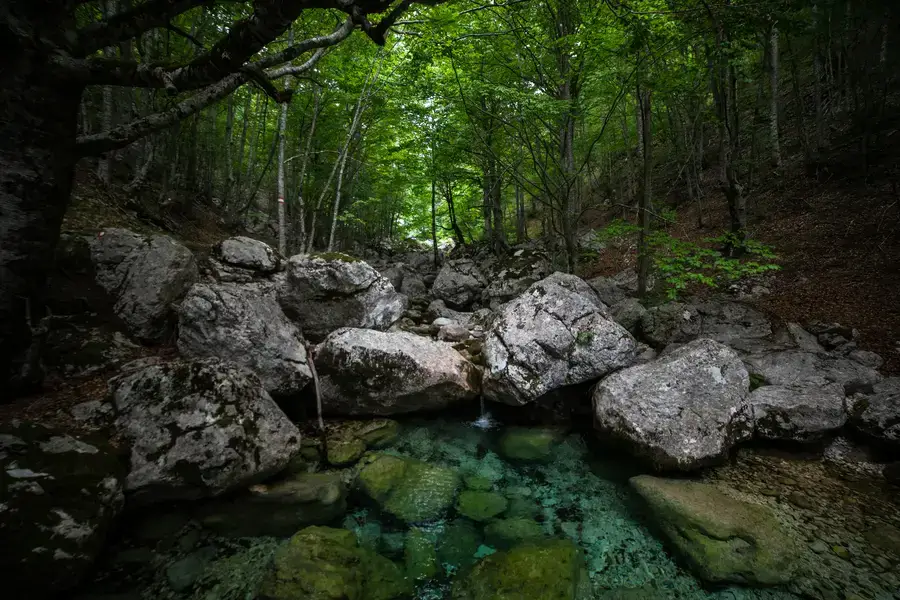 Top 5 razloga za posjetu parku prirode „Dragišnica i Komarnica“