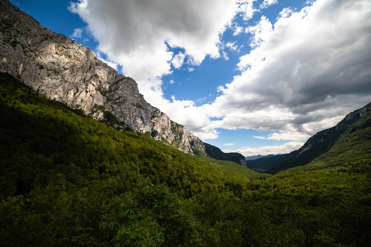 Prirodna raznolikost